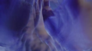 BRAZZERS - Kayley Gunner Gives an Her Audio Fantasy of A Cheating Wife's Dream DP