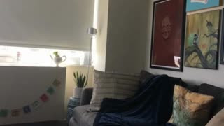 Girlfriend Dani Daniels POV Fuck